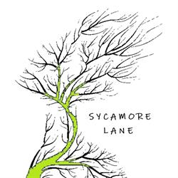 Sycamore Lane in Cavan (Blacklion) - Opening Hours