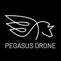 Pegasus Drone in Kildare (Kill) - Opening Hours