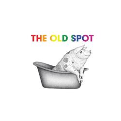 The Old Spot, Dublin opening hours