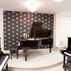 Precision Pianos, Dublin opening hours