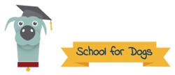 Bremeny School for Dogs, Galway opening hours