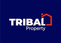 Tribal Property, Galway opening hours