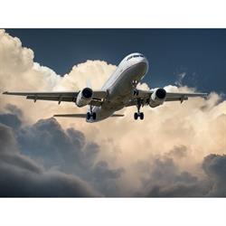 Affordable Holiday Travel in Dublin (Dublin 2) - Opening Hours