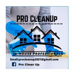 ProCleanup, Kildare opening hours