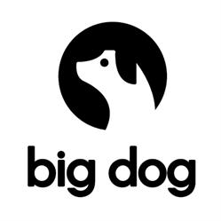 Big Dog Digital, Dublin opening hours