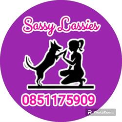 Sassy Lassies, Balbriggan opening hours