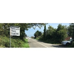 Parkswood Tree Centre, Waterford opening hours