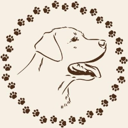 Tara House Boarding Kennels, Collooney opening hours
