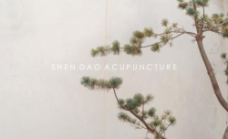 Shen Dao Acupuncture, Galway opening hours