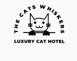 The Cats Whiskers in Ballyhaunis (Mayo Roscommon Galway) - Opening Hours