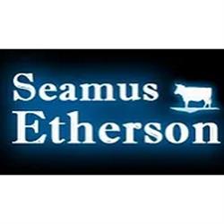 Ethersons Butchers in Dublin (Castleknock) - Opening Hours