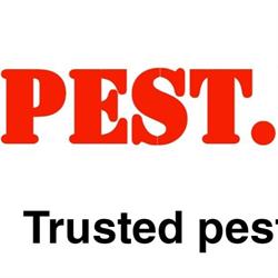 Pest.ie - Dublin, opening hours