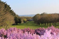 Courtown Golf Club, Wexford opening hours