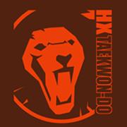 HX Taekwon-Do, Dublin opening hours