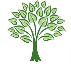 Cypress Public Accounting, LLC, Park opening hours