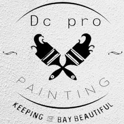 Dc Pro Painting in Dublin (Dublin 1) - Opening Hours