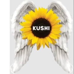 Kushi Holistic Learning Center, Wexford opening hours