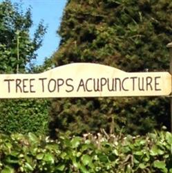 Tree Tops Acupuncture, Churchtown opening hours