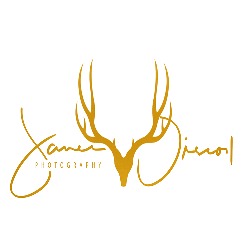 JOD' Photography – Capturing Love, Laughter & Every Dodgy Dance Move!, Macroom opening hours
