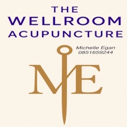 The Wellroom Acupuncture in Bray (Bray) - Opening Hours